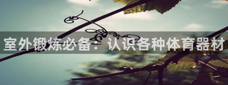 尊龙人生就是博菲律宾台子
