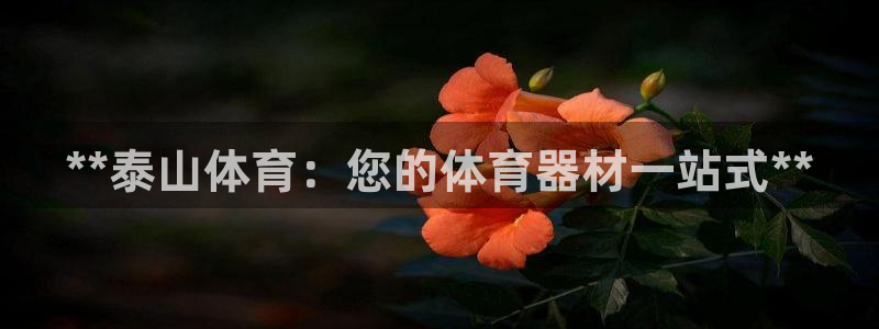 尊龙凯时开发