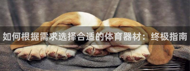 尊龙凯时旗舰厅官网