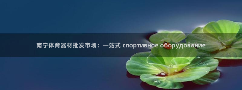 凯时国际app首页