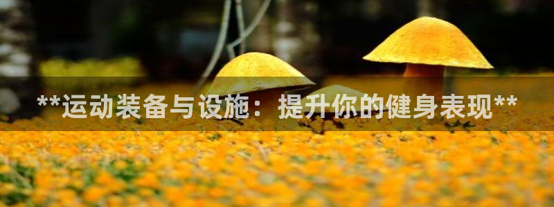 尊龙d88官网可靠送38元