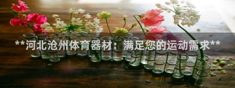 尊龙ag旗舰厅官网官方入口