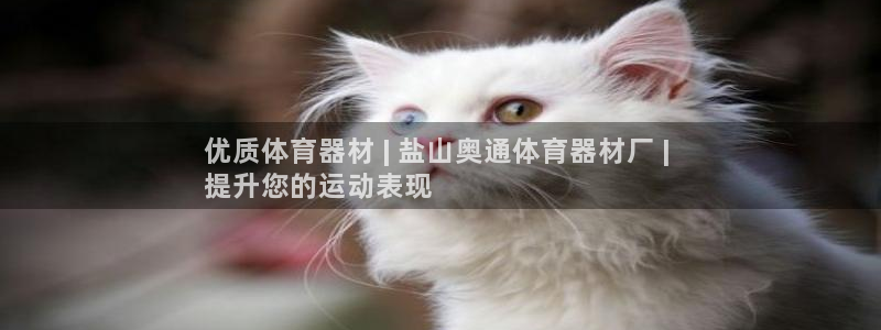 尊龙目前在哪