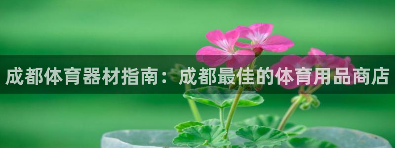 z6com尊龙