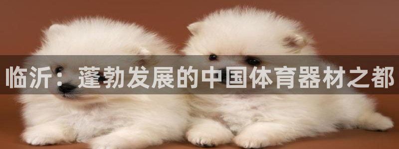 尊龙,人生就是搏