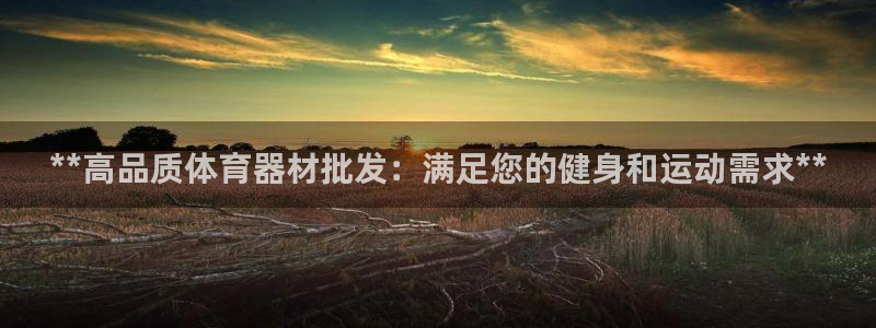 尊龙凯时网站怎么样