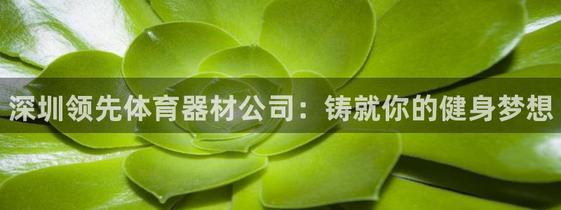 尊龙凯时存款不上分