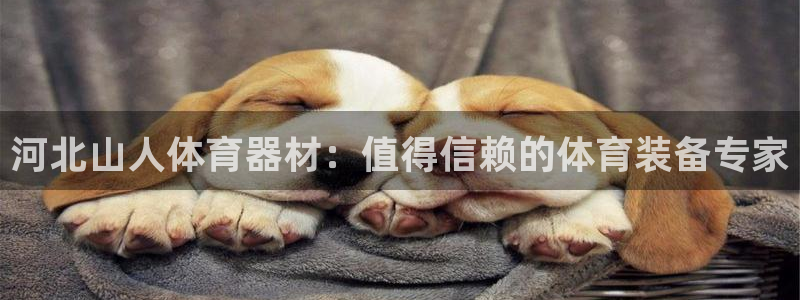 尊龙凯时人生就是搏 品牌专区