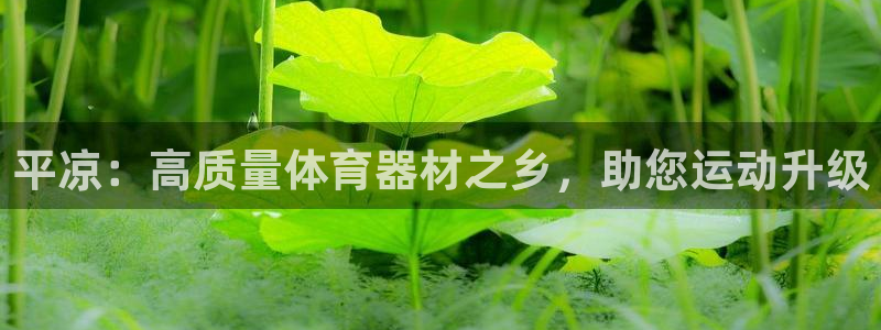 尊龙网站手机下载