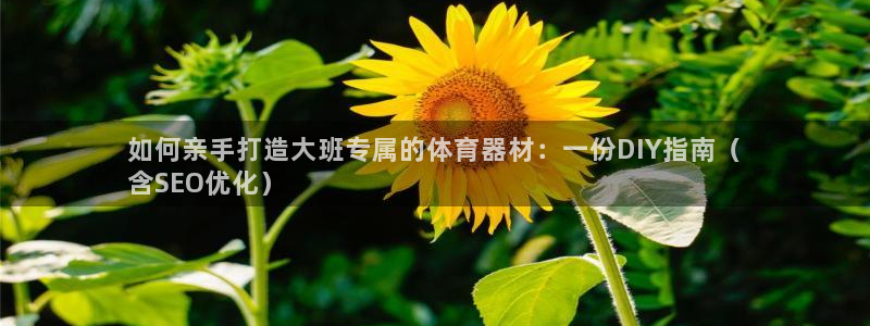 ZL尊龙凯时集团：如何亲手打造大班专属的体育器材：一份DIY