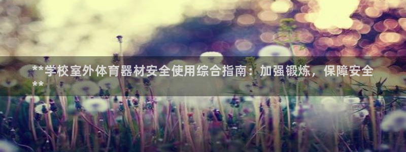 尊龙多少岁：**学校室外体育器材安全使用综合指南：加强锻炼，