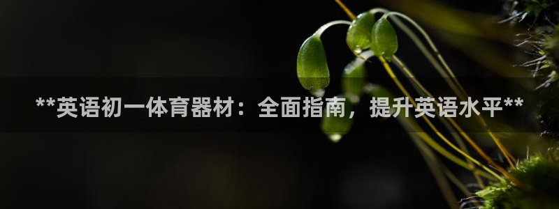尊龙凯时百家乐手机下载
