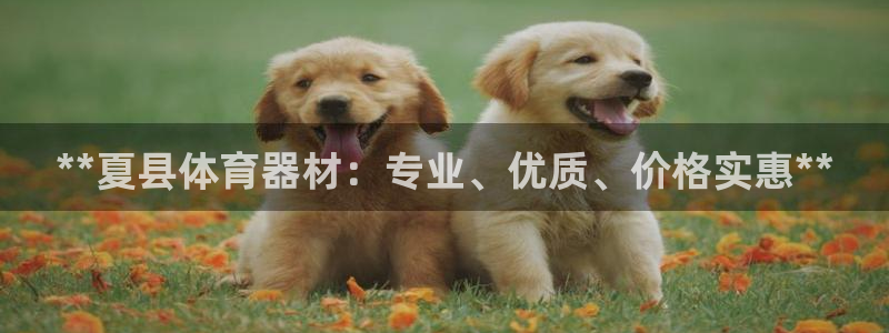 尊龙AG旗舰厅app下载
