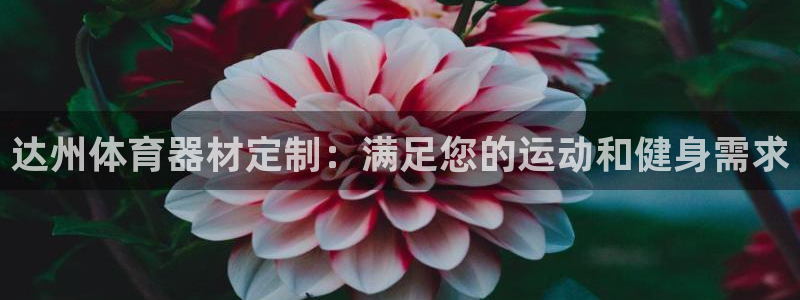 尊龙d88官网准认来就送38