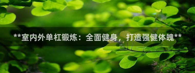 尊龙凯时代理能提出来不：**室内外单杠锻炼：全面健身，打造强
