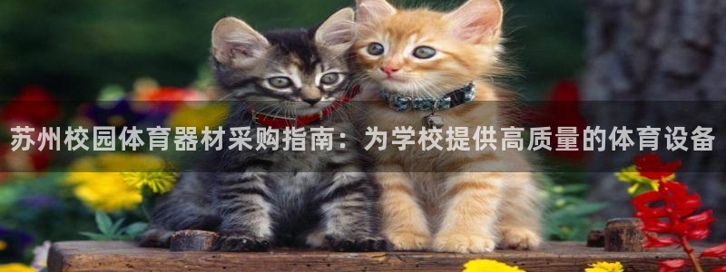 怎样能成为尊龙凯时平台的会员：苏州校园体育器材采购指南：为学